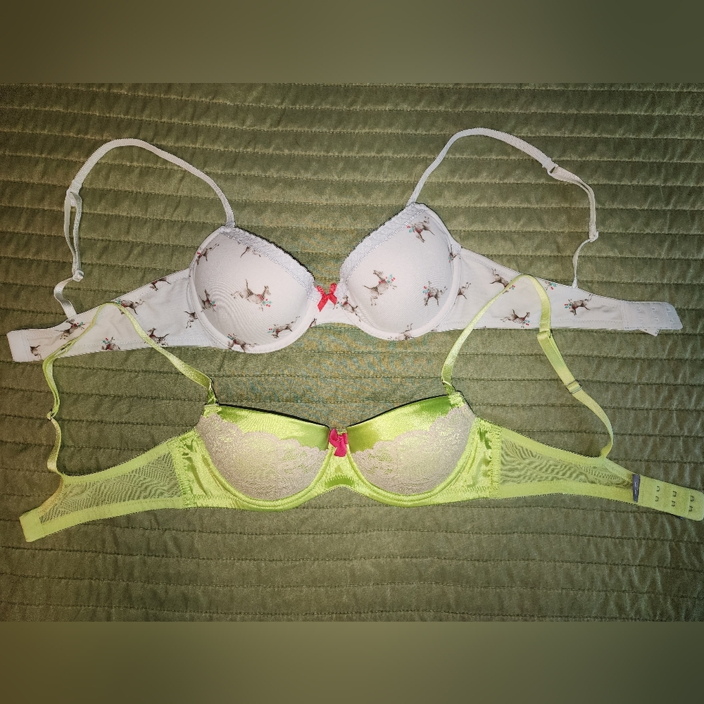 2 Aerie Bras